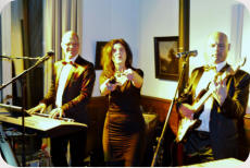 Hochzeitsband Trio 01